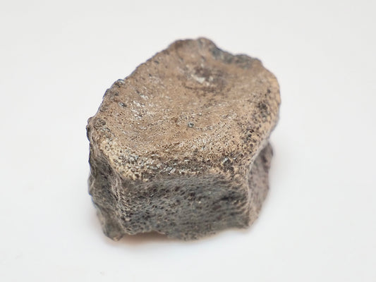 Boxed Ichthyosaur Paddle Bone Fossil – Jurassic Marine Reptile from Whitby