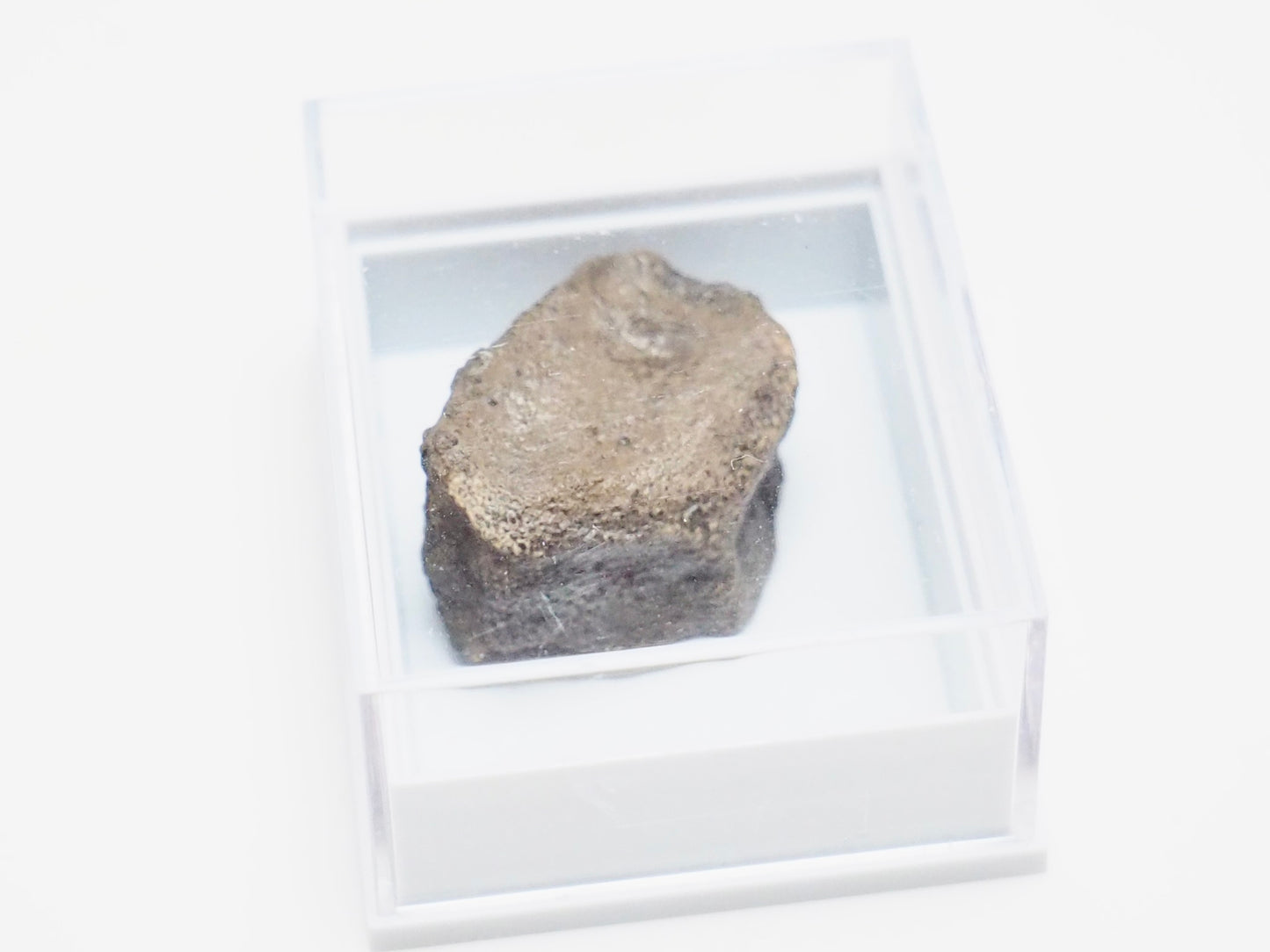Boxed Ichthyosaur Paddle Bone Fossil – Jurassic Marine Reptile from Whitby