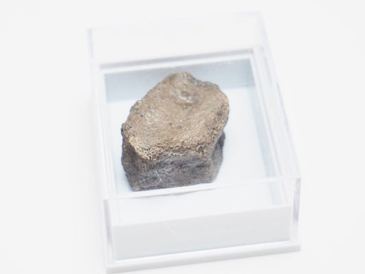 Boxed Ichthyosaur Paddle Bone Fossil – Jurassic Marine Reptile from Whitby