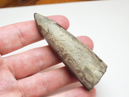 Large Jurassic Belemnite Fossil – Genuine Yorkshire Coast Specimen