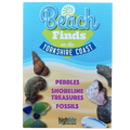 Beach Finds on the Yorkshire Coast – Fossil & Pebble Identification Guide