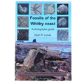 Fossils of the Whitby Coast – Photographic Guide Book by Dean R. Lomax