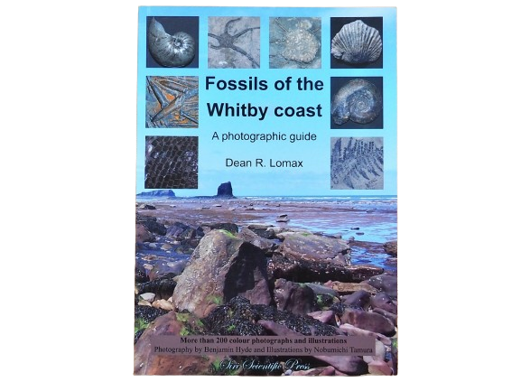 Fossils of the Whitby Coast: A Photographic Guide