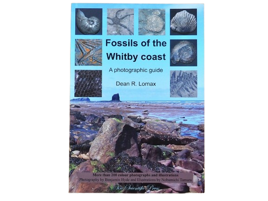 Fossils of the Whitby Coast: A Photographic Guide