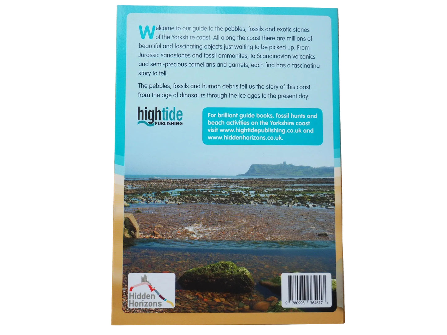 Beach Finds on the Yorkshire Coast – Fossil & Pebble Identification Guide