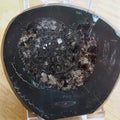 Cut and Polished Ammonite - Pick N Mix