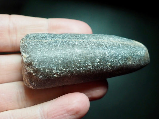 Belemnite